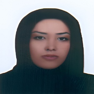 مائده محدثی